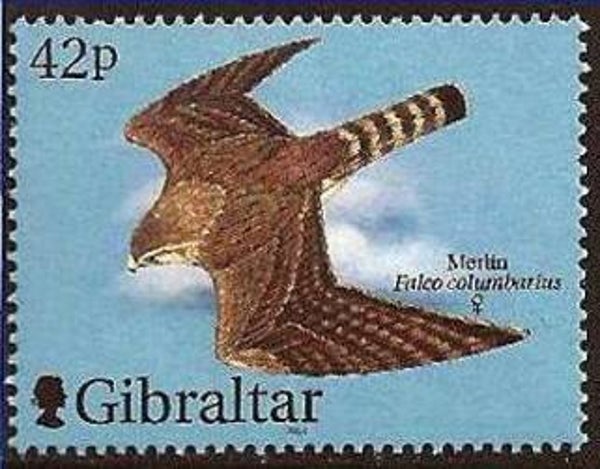Birds of Prey Falcons (Falco columbarius) Merlin 2000 Gibraltar stamp 2