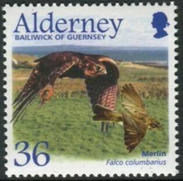 Birds of Prey Falcons (Falco columbarius) Merlin 2002 Alderney stamp