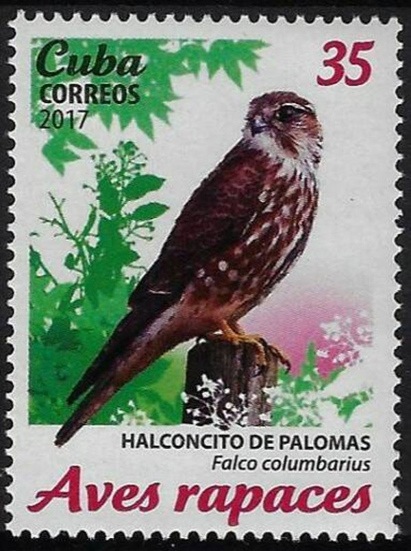Birds of Prey Falcons (Falco columbarius) Merlin 2017 Cuba stamp