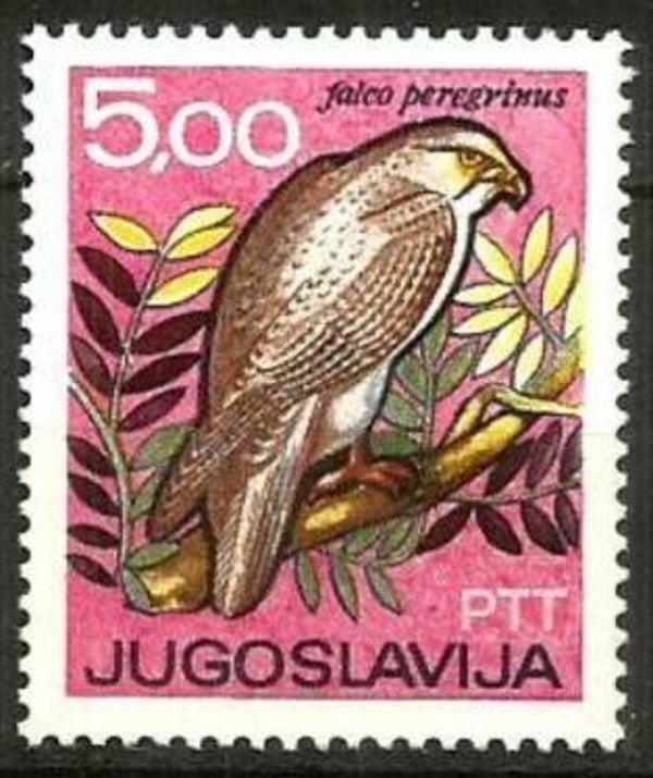 Birds of Prey Falcons (Falco peregrinus) Peregrine Falcon 1967 Yugoslavia stamp