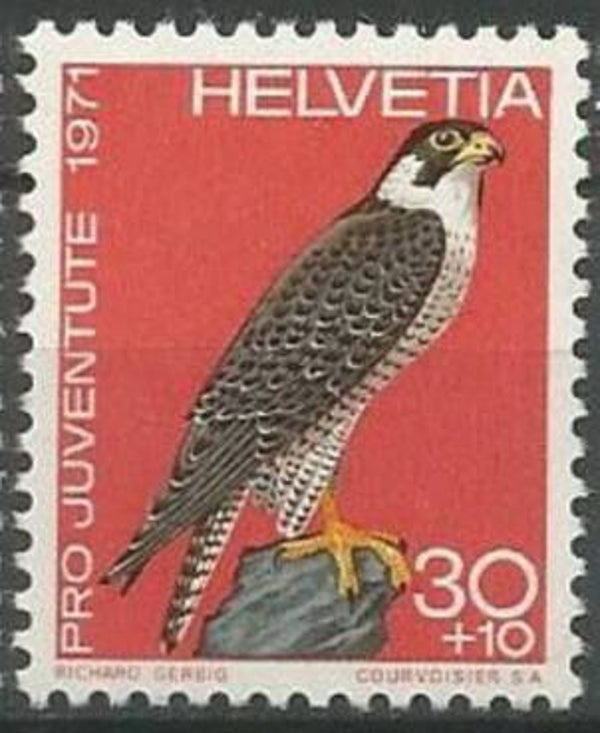 Birds of Prey Falcons (Falco peregrinus) Peregrine Falcon 1971 Switzerland stamp