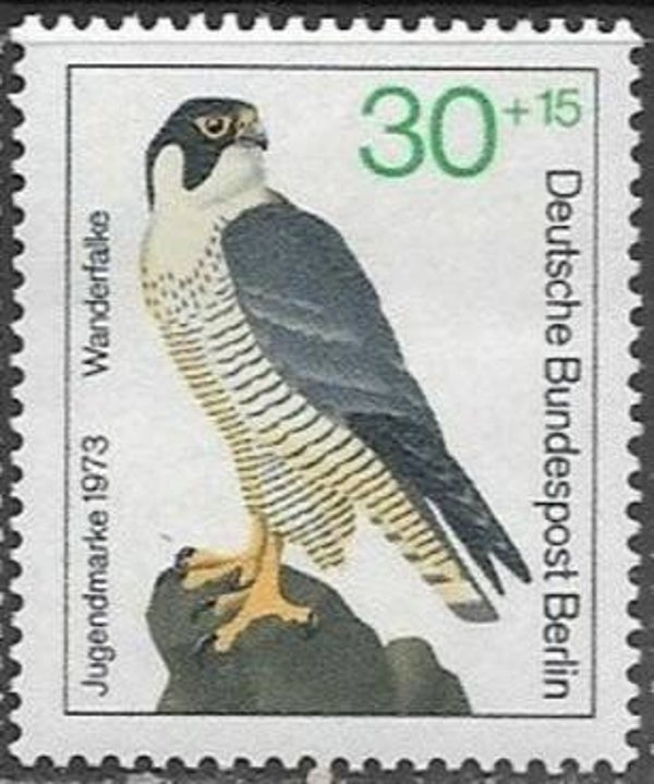 Birds of Prey Falcons (Falco peregrinus) Peregrine Falcon 1973 Germany Berlin stamp