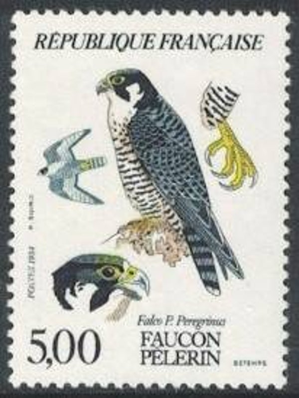 Birds of Prey Falcons (Falco peregrinus) Peregrine Falcon 1984 France stamp