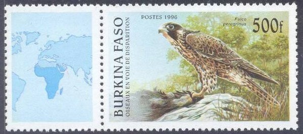 Birds of Prey Falcons (Falco peregrinus) Peregrine Falcon 1996 Burkina Faso stamp