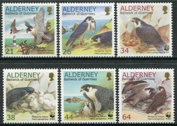 Birds of Prey Falcons (Falco peregrinus) Peregrine Falcon 2000 Alderney serie