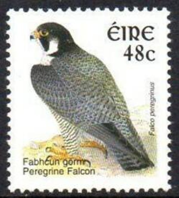 Birds of Prey Falcons (Falco peregrinus) Peregrine Falcon 2002 Ireland stamp 48c