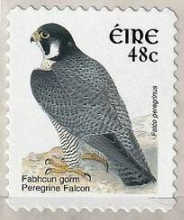 Birds of Prey Falcons (Falco peregrinus) Peregrine Falcon 2002 Ireland stamp 48c self adhesive