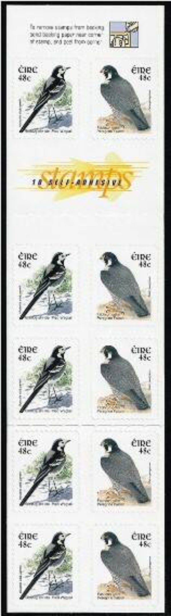 Birds of Prey Falcons (Falco peregrinus) Peregrine Falcon 2003 Ireland booklet 4_80 inside