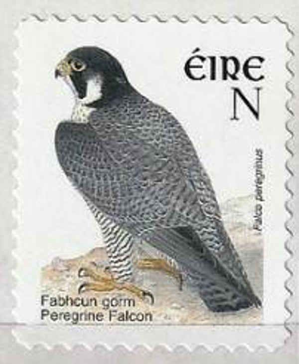 Birds of Prey Falcons (Falco peregrinus) Peregrine Falcon 2003 Ireland stamp N-value self adhesive