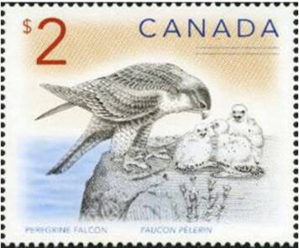 Birds of Prey Falcons (Falco peregrinus) Peregrine Falcon 2005 Canada stamp