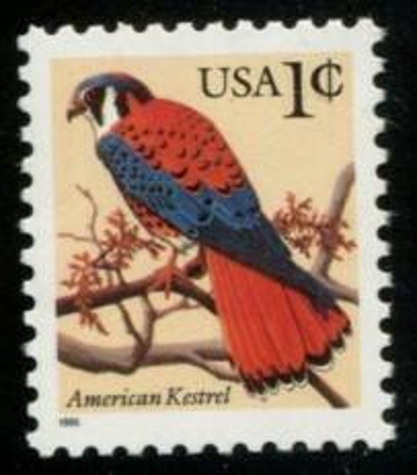 Birds of Prey Falcons (Falco sparverius) American Kestrel 1995 USA stamp