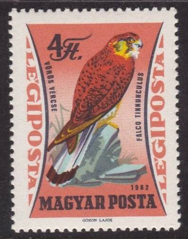 Birds of Prey Falcons (Falco tinnunculus) Common Kestrel 1962 Hungary stamp