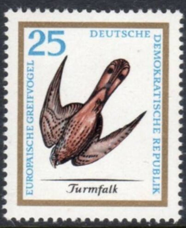 Birds of Prey Falcons (Falco tinnunculus) Common Kestrel 1965 Germany DDR stamp