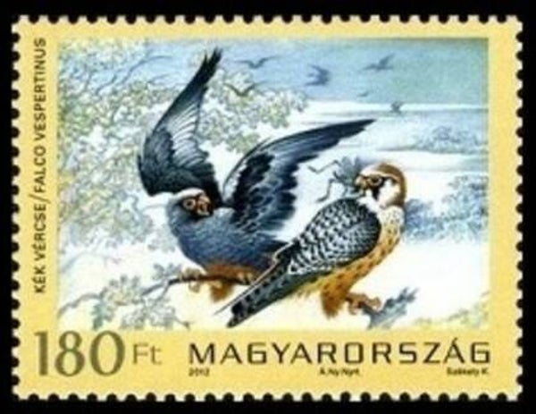 Birds of Prey Falcons (Falco vespertinus) Red-footed Falcon 2012 Hungary stamp