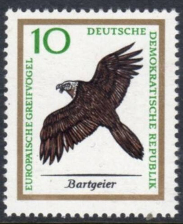 Birds of Prey (Gypaetus barbatus) Bearded Vulture 1965 Germany DDR stamp