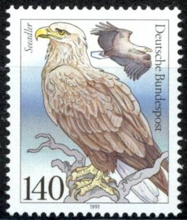 Birds of Prey (Haliaeetus albicilla) White-tailed Eagle 1991 Germany stamp