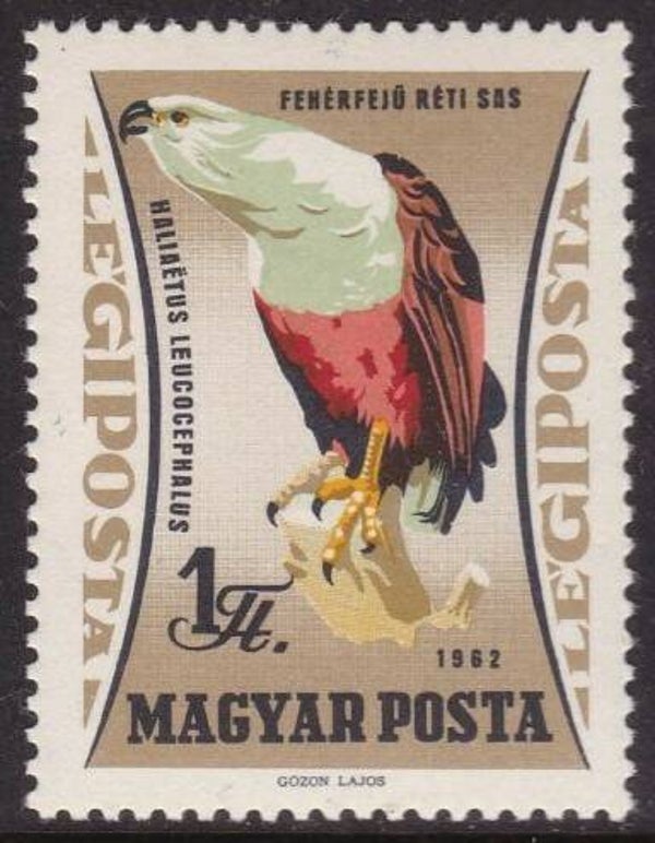 Birds of Prey (Haliaeetus leucocephalus) Bald Eagle 1962 Hungary stamp