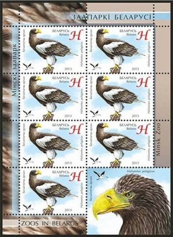Birds of Prey (Haliaeetus pelagicus) Steller's Sea Eagle 2013 Belarus miniature sheet