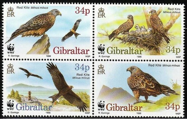 Birds of Prey (Milvus milvus) Red Kite 1996 Gibraltar block of 4