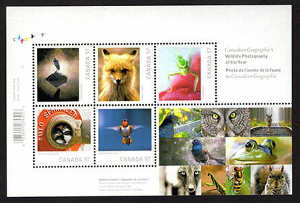Fauna Animals Fox 2010 Canada souvenir sheet
