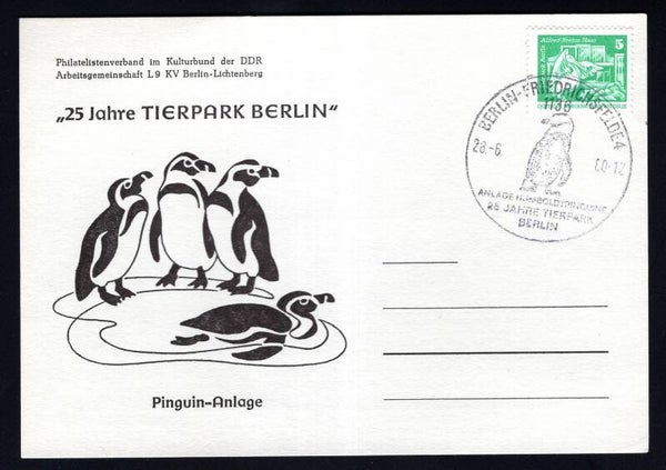 Birds 1980 Germany DDR Penguins postcard with postmark (D-Vo003)