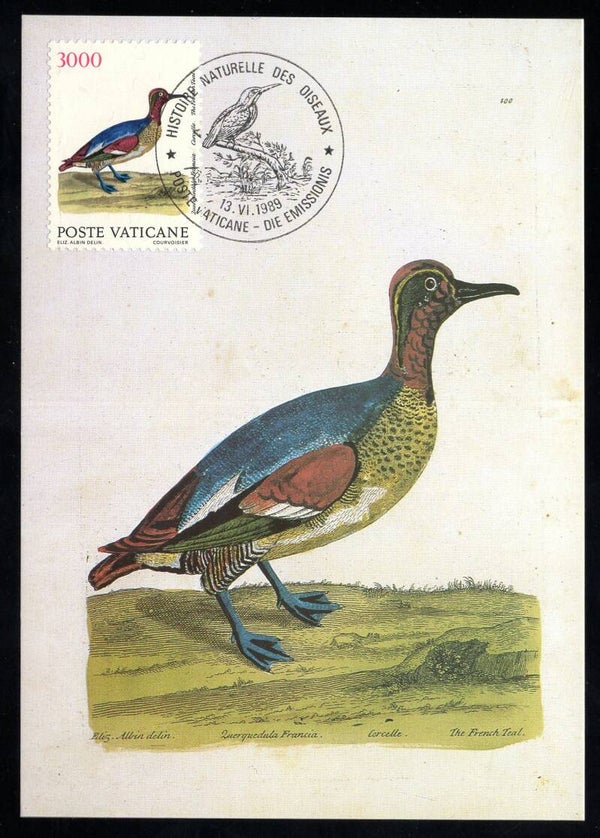 Birds 1989 Vatican Ducks (Anas crecca) Eurasian Teal maximum card (D-Vo020)