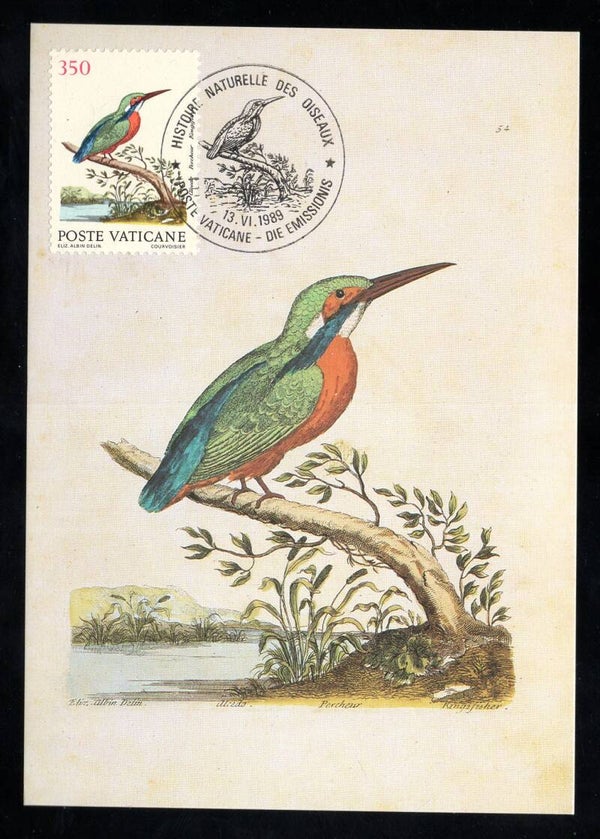 Birds 1989 Vatican Kingfishers (Alcedo atthis) Common Kingfisher maximum card (D-Vo024)