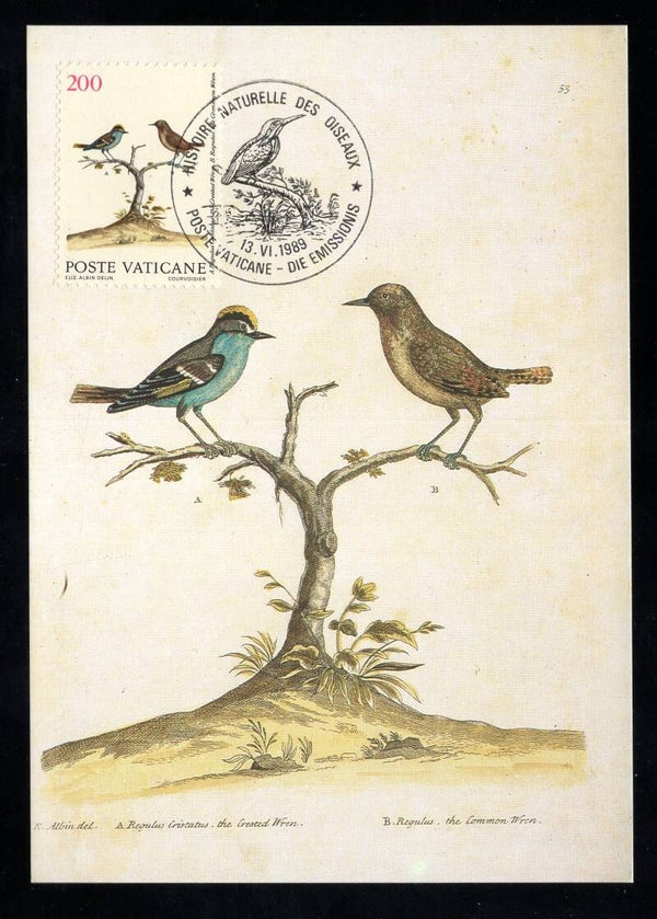 Birds 1989 Vatican (Regulus regulus) & (Troglodytes troglodytes) maximum card (D-Vo025)
