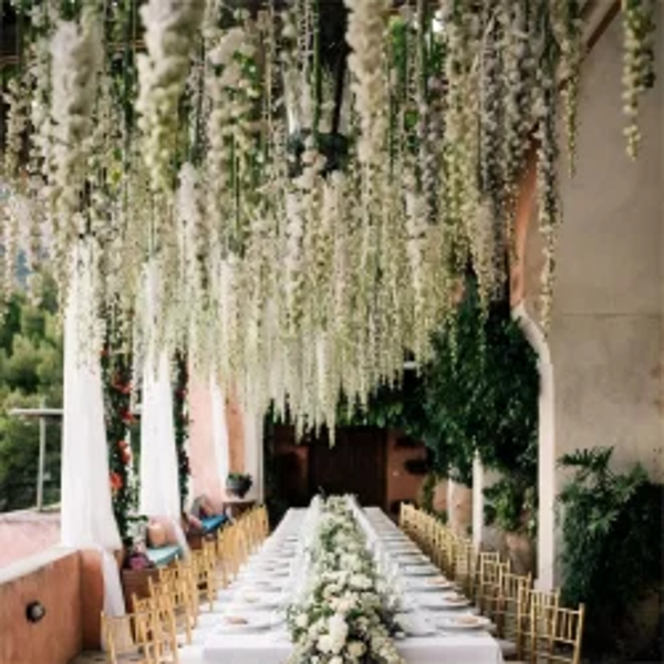 Hanging Wysteria