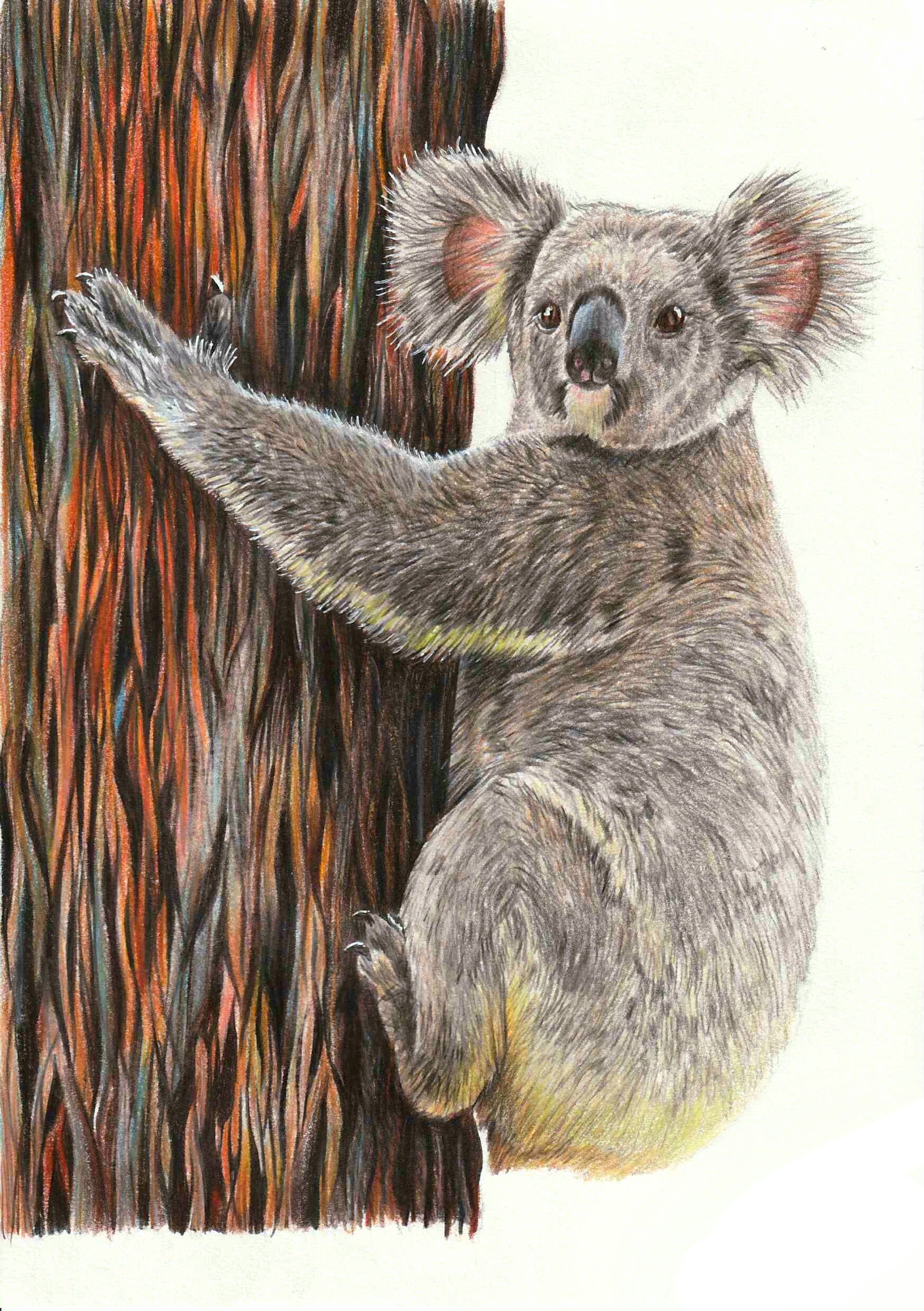 Tree Hugger original artwork