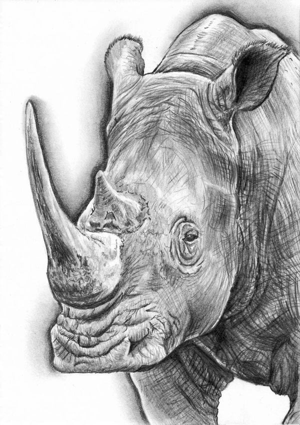 Rupert original artwork