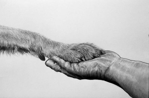 "Mans best friend" Print pre-order