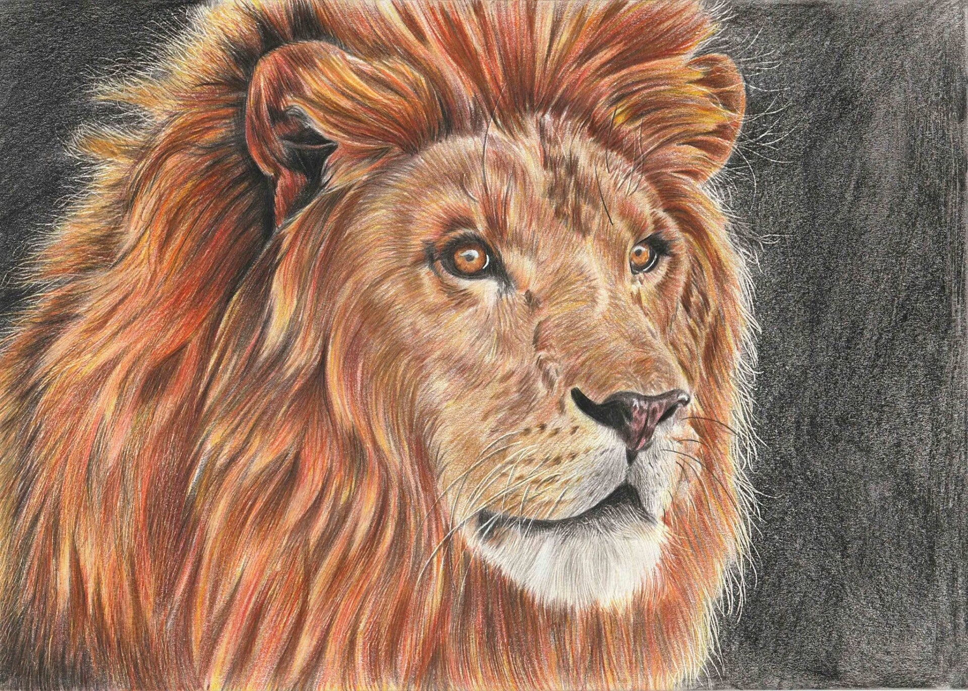 "Eyes of a king" Original drawing