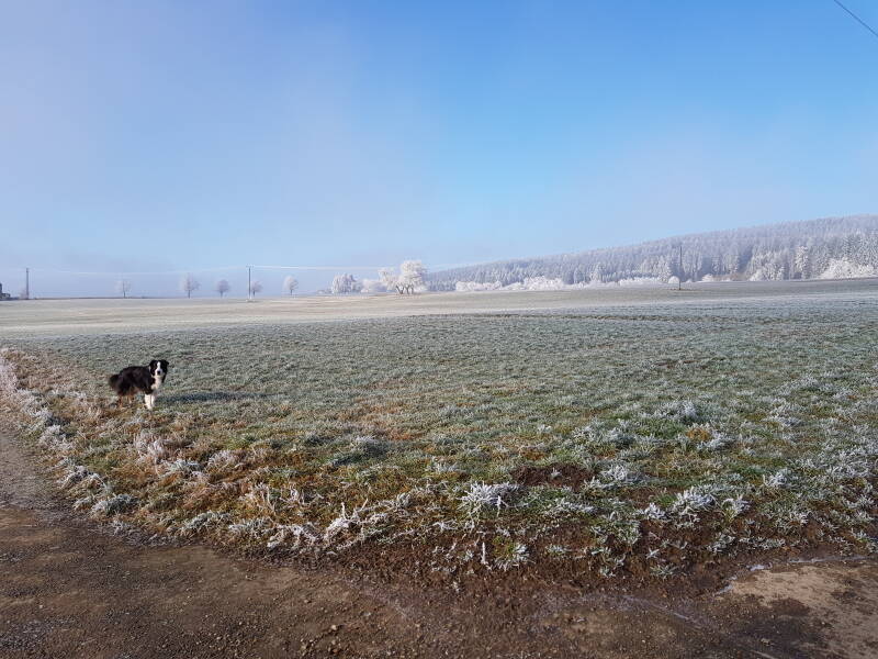Aangevroren mist geeft mooie plaatjes