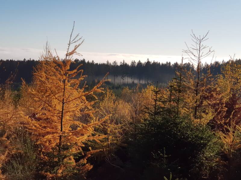schitterende kleuren in de herfstvakantie