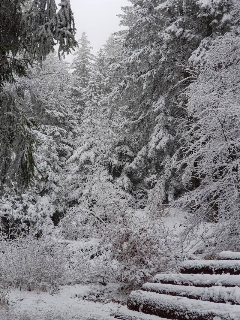 Ieder jaar flinke sneeuwval, dus skieën