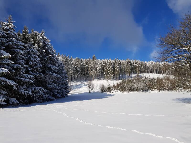 skiën en snowboarden en langlaufen in winterse omgeving