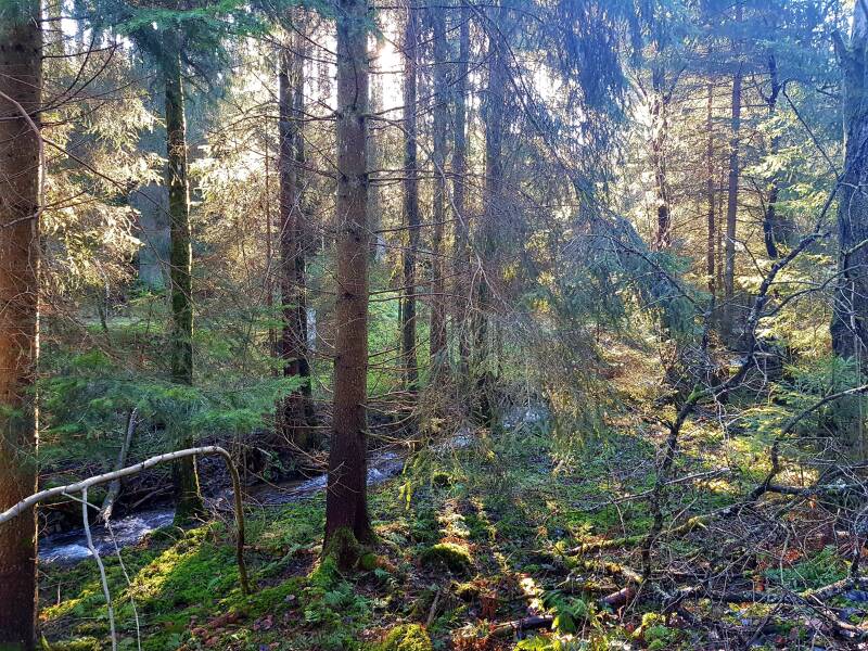 Wandelen rond het vakantieappartement