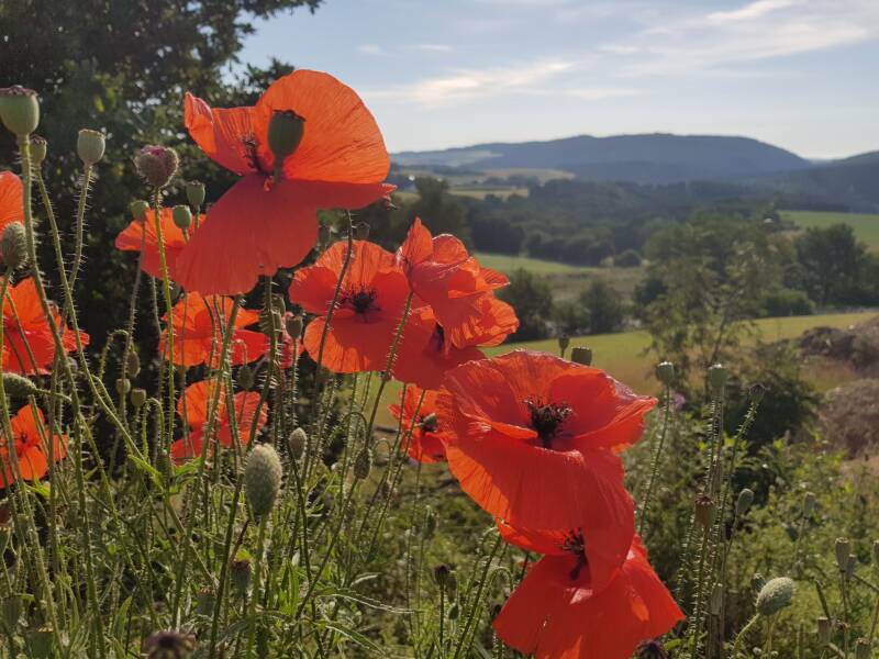Schöne Aussicht hinüber Sensweiler