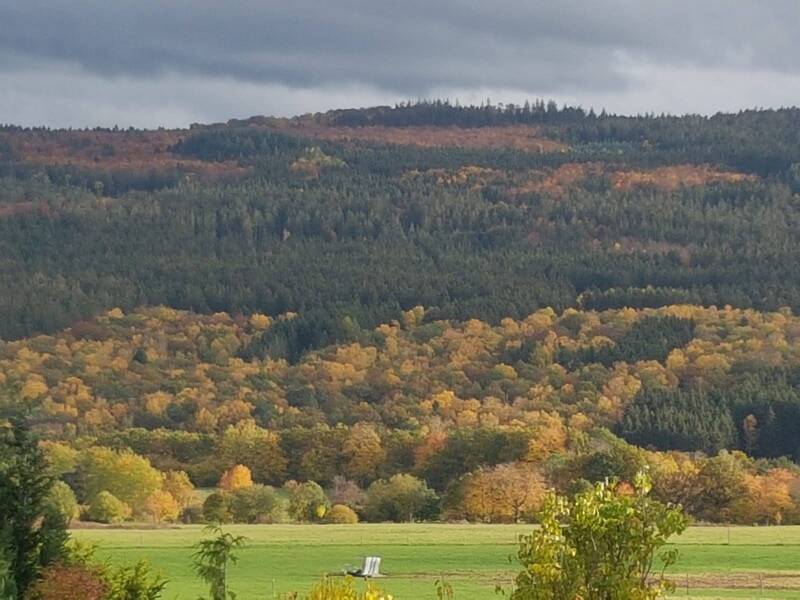 Prachtige herfstkleuren te zien vanuit het vakantieappartement