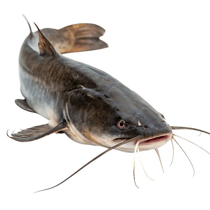 Mungusu