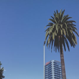14-standard.jpg