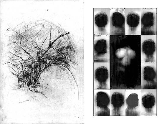 L: &#039;Studie Plantje&#039;, nr. 2, 2001 - R: &#039;Venus Von Will, 2017&#039;