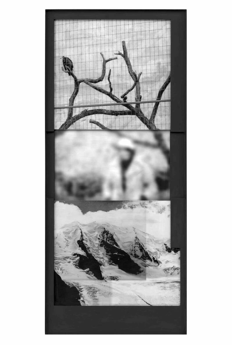 'The beginning of a great (vertical) adventure', 2017