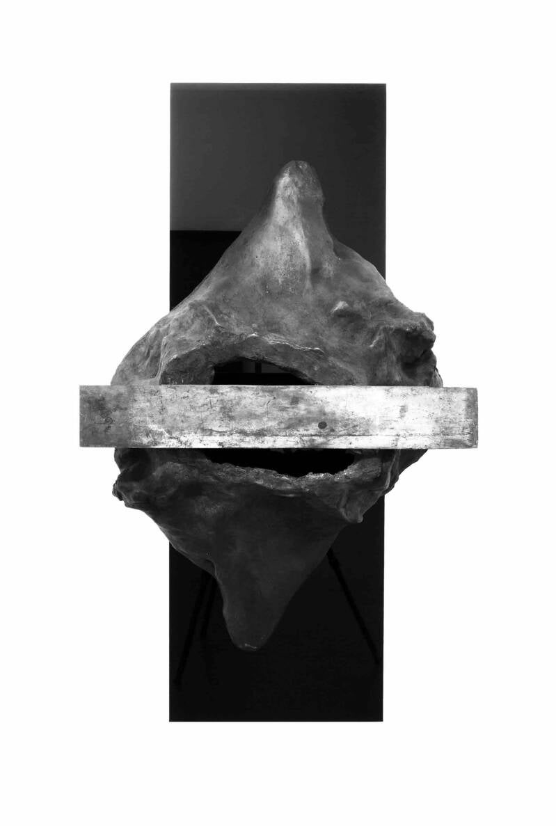 &#039;The belly of an architect&#039;, 2015