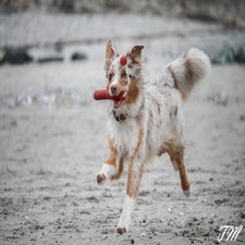 IMG_1418.jpg