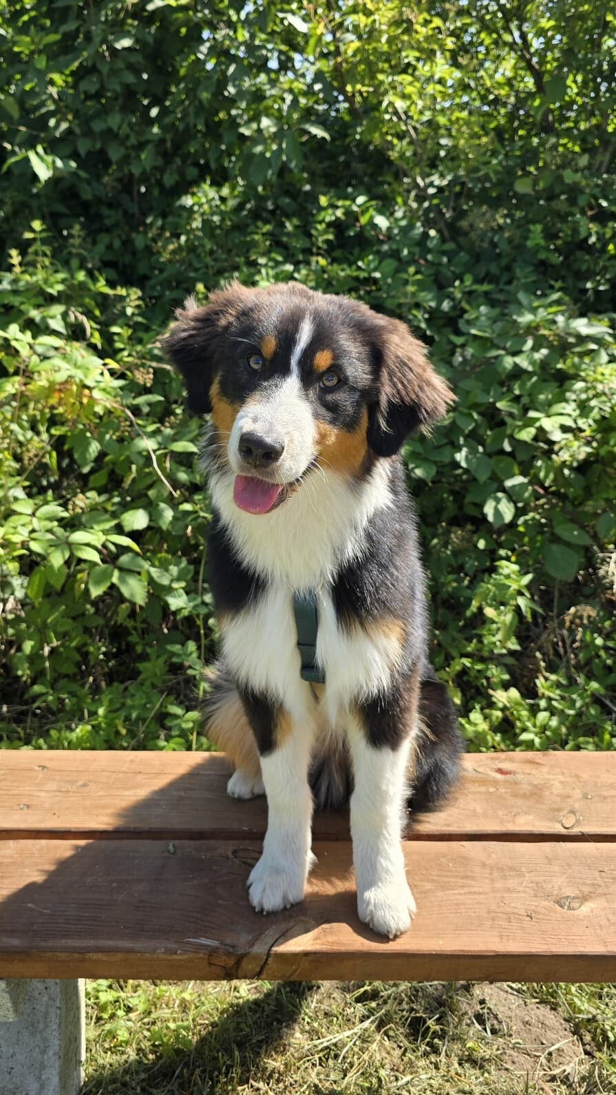 cooper-standard.jpg
