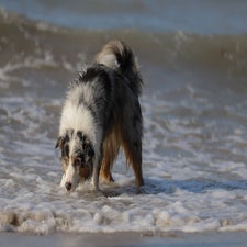 img_0410copyright.jpg