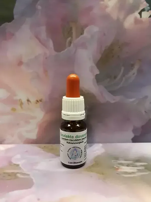 gevlekte paarse dove netel bloesem