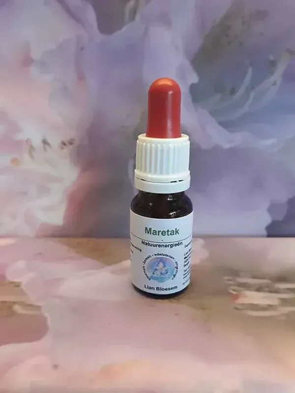 maretak bloesem